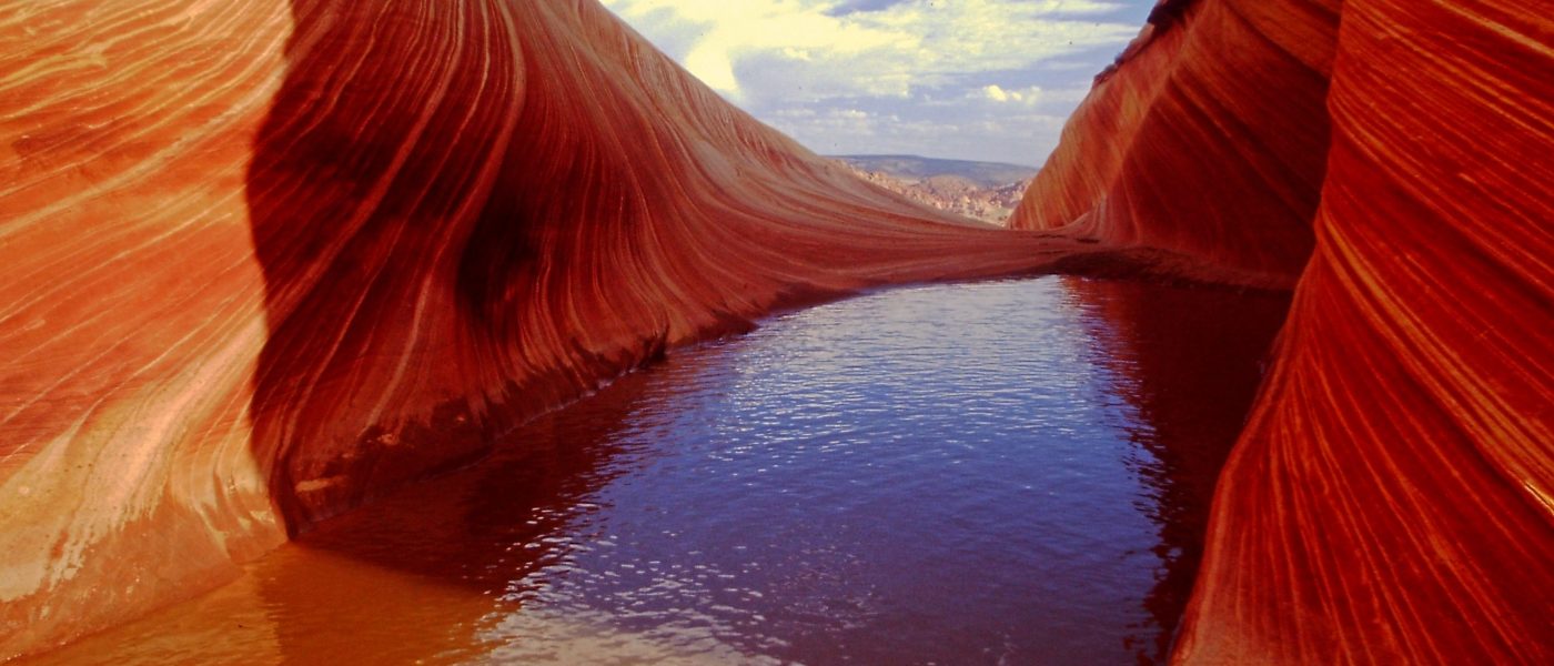 My beautiful picture