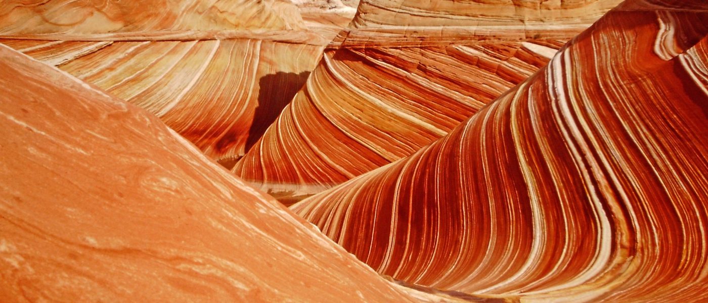 My beautiful picture