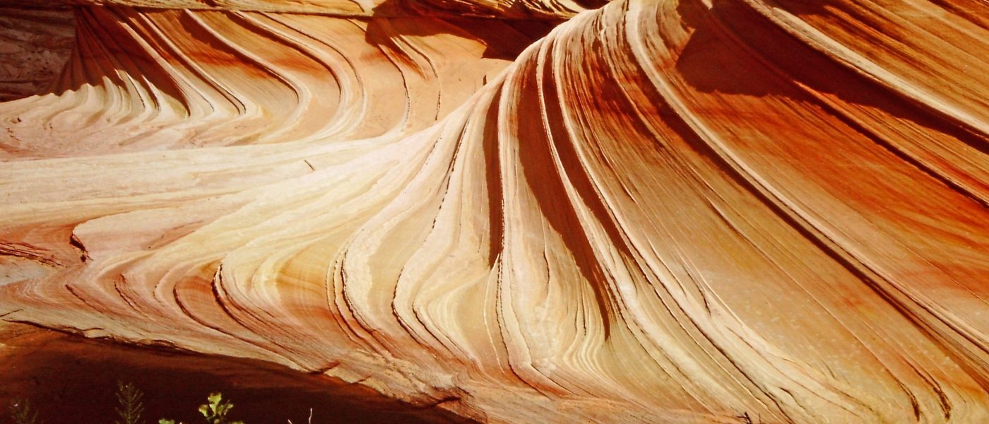 My beautiful picture