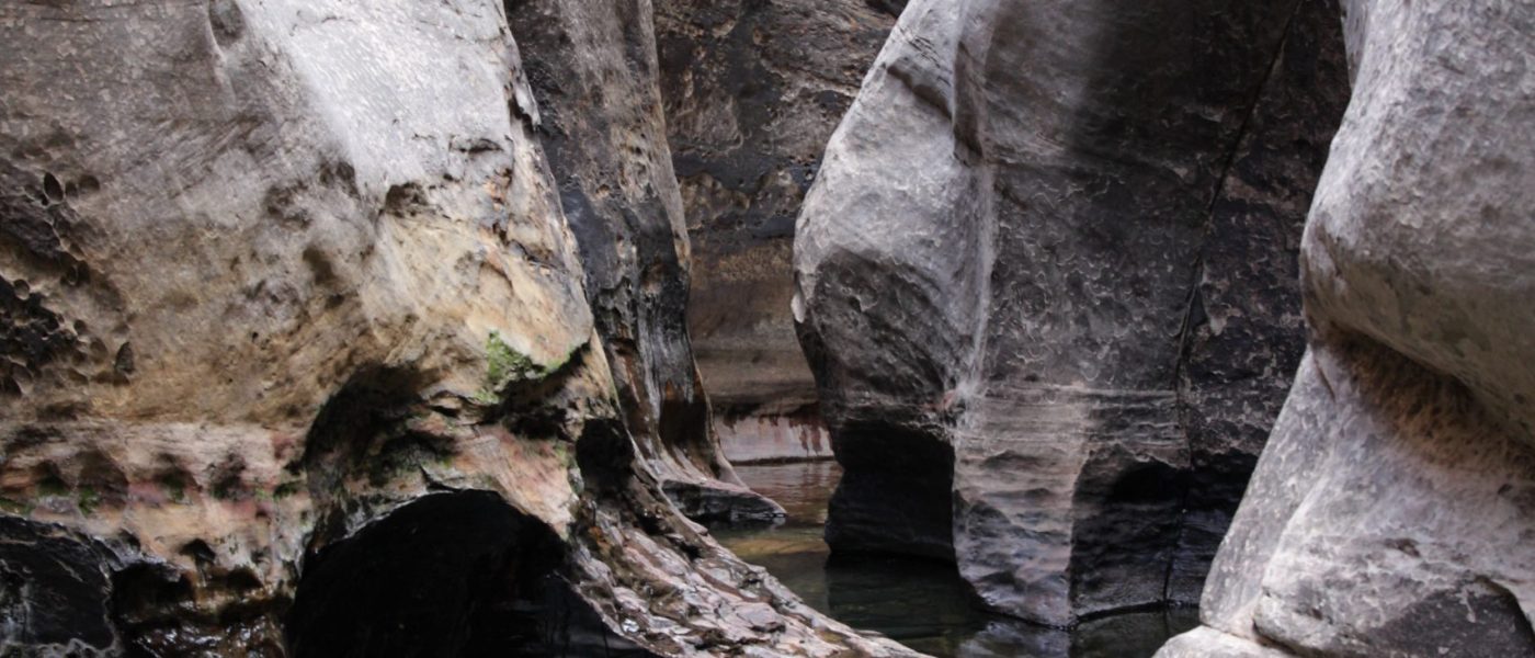 USA-2011-Subway- (2)