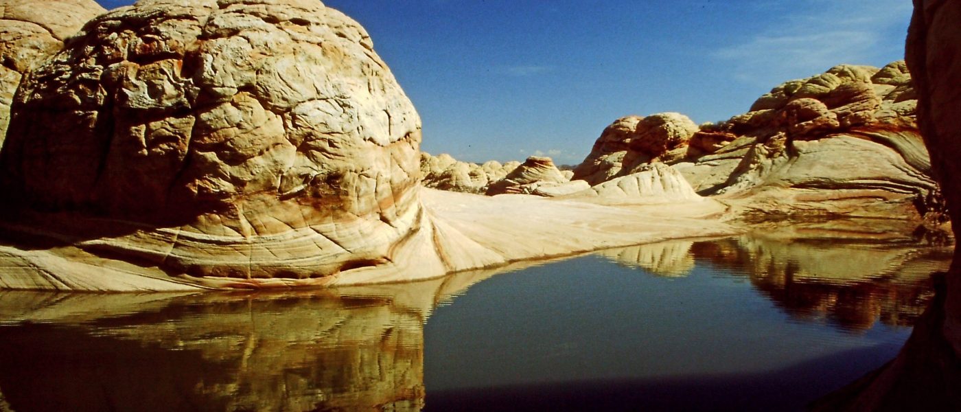 My beautiful picture