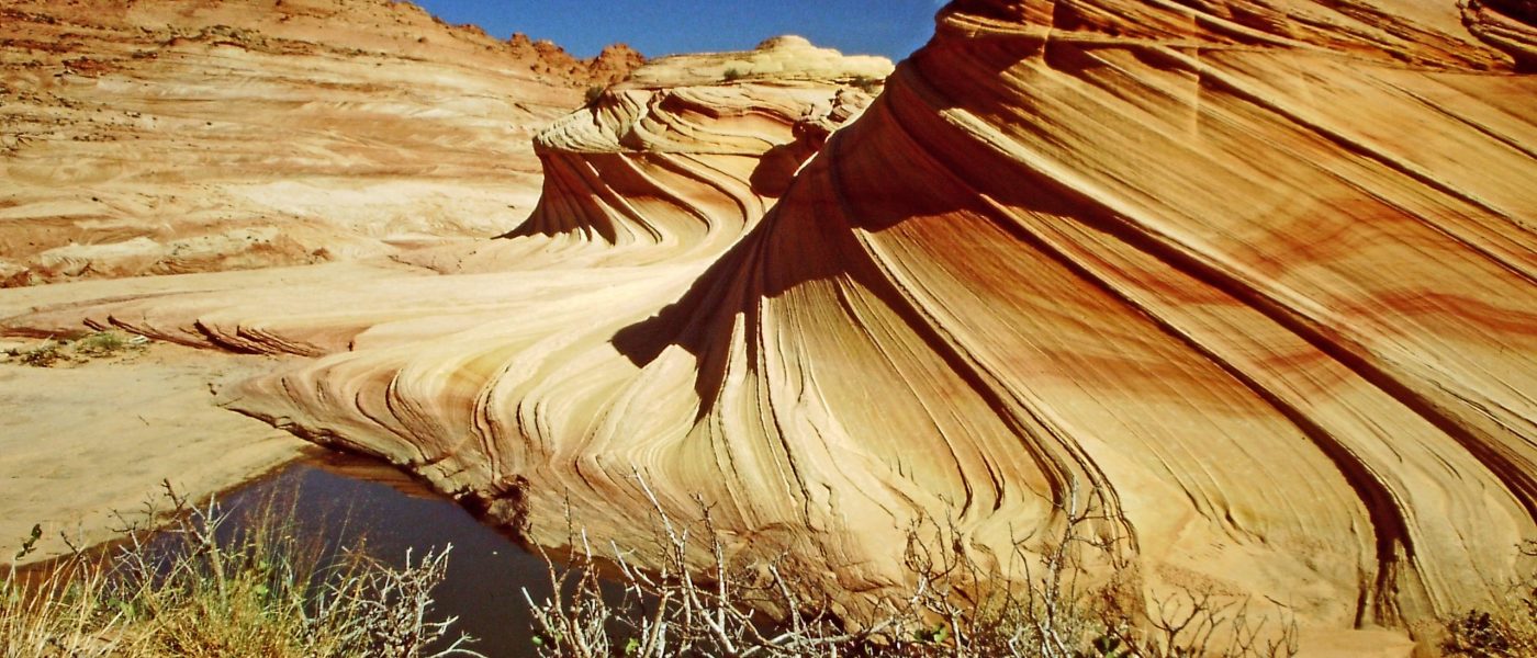 My beautiful picture