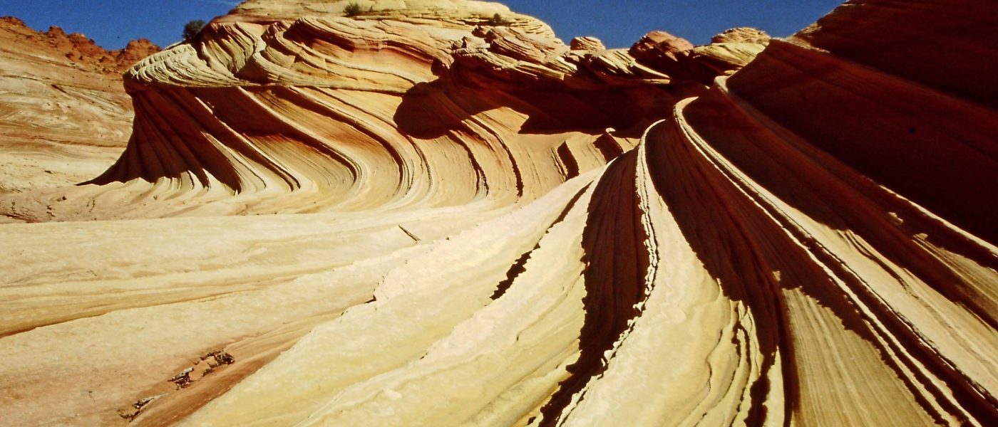 My beautiful picture